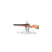 Diana outlaw gen2 4,5mm 30J