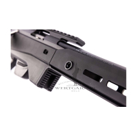 Tikka T1X ACE Target .22LR 20" schwarz