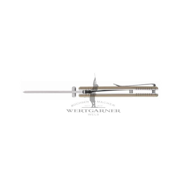 Buck TRUNK Einhandmesser tan